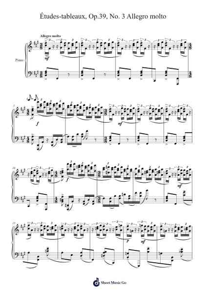 Études-tableaux, Op. 39, No. 3 in F-sharp Minor: Allegro molto Sheet Music by Sergei Rachmaninoff-Arr.Dierclaude Hedwill