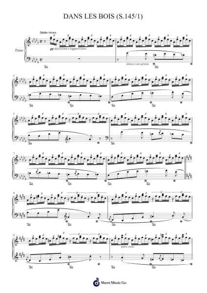 Dans les Bois (S.145/1) Sheet Music by Franz Liszt-Arr.Warge