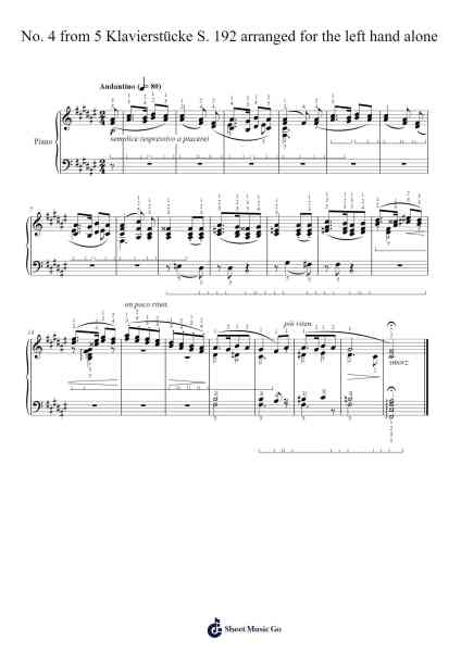 No. 4 from 5 Klavierstücke, S. 192 Sheet Music by Franz Liszt-Arr.Woojane Nina