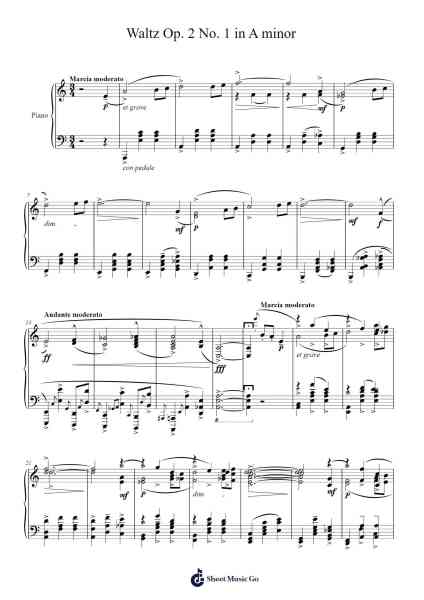 Waltz Op. 2 No. 1 in A minor Sheet Music by Donne-Arr.Efbin Kimsie
