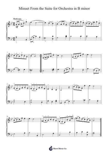 Orchestral Suite No. 2 in B Minor, BWV 1067 Sheet Music by Johann Sebastian Bach-Arr.Primeg