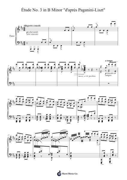 Étude No. 3 in B Minor "d'après Paganini-Liszt" Sheet Music by Marc-André Hamelin-Arr.Ukuk Behill