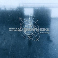 My Own Disaster_Small Brown Bike