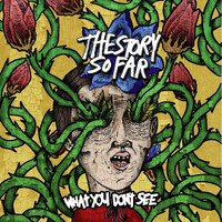 Stifled_The Story So Far