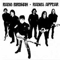 Do The Pop_Radio Birdman