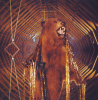 Just One Thing_My Morning Jacket