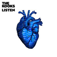 Sweet Emotion_The Kooks
