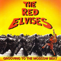 Please Dont Tell Me What I Did Last Night_The Red Elvises