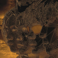 Its The End_L'Arc~en~Ciel