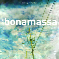 If Heartaches Were Nickels_Joe Bonamassa