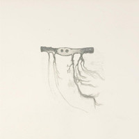 Teardrop_José González