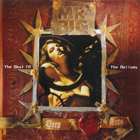 Where Are They Now_Mr. Big