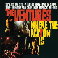 Wild Action_The Ventures