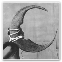 Golden Number_Ghost Bath