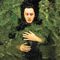 La Nuit Je Mens_Alain Bashung