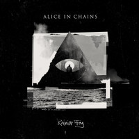 Rainier Fog_Alice in Chains