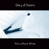 Flood Of Tears_Diary of Dreams