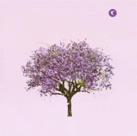 What I Have To Offer_Eels