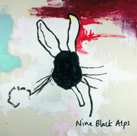 Unsatisfied_Nine Black Alps