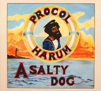 A Salty Dog