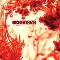 Remember Where You Are_Oceansize