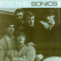 Have Love Will Travel_The Sonics