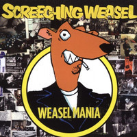 What We Hate_Screeching Weasel