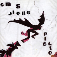 Animal Midnight_Stephen Malkmus & The Jicks