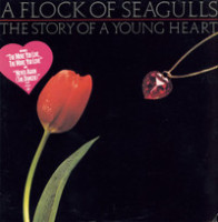 The More You Live The More You Love_A Flock of Seagulls