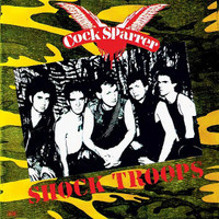 Where Are They Now_Cock Sparrer