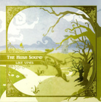 Out Through The Curtain_The Hush Sound