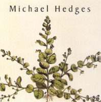 The Rootwitch_Michael Hedges