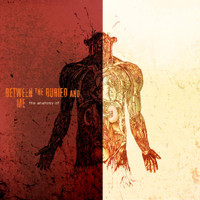 Little 15_Between the Buried and Me