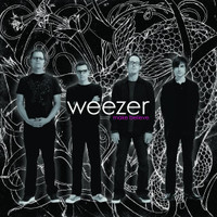 Perfect Situation_Weezer