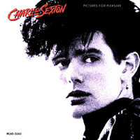 Beats So Lonely_Charlie Sexton