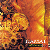 Whatever That Hurts_Tiamat