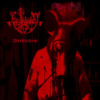 Kein Mampf Mit Kutzenzangen_Bethlehem