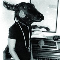 Roll The Bones_Shakey Graves