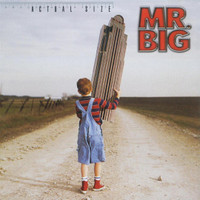 Shine_Mr. Big