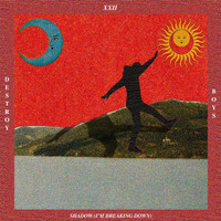 Shadow Im Breaking Down_Destroy Boys