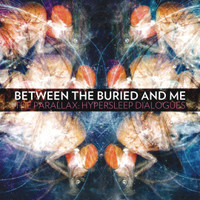 Specular Reflection_Between the Buried and Me