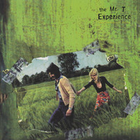 More Than Toast_The Mr. T Experience