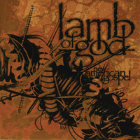 Odhgabfe_Lamb of God