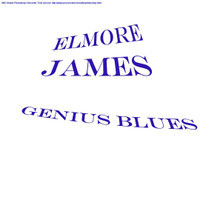 Bobbys Rock_Elmore James