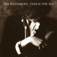 The Whole Of The Moon