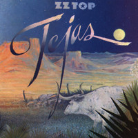 Asleep In The Desert_ZZ Top