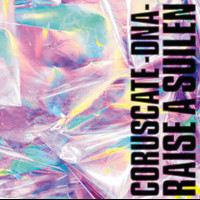 Repaint_Raise A Suilen