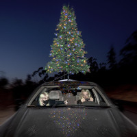 Sympathy 4 The Grinch