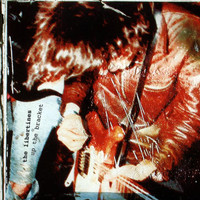 Boys In The Band_The Libertines