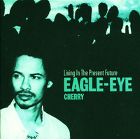 Are You Still Having Fun_Eagle-Eye Cherry
